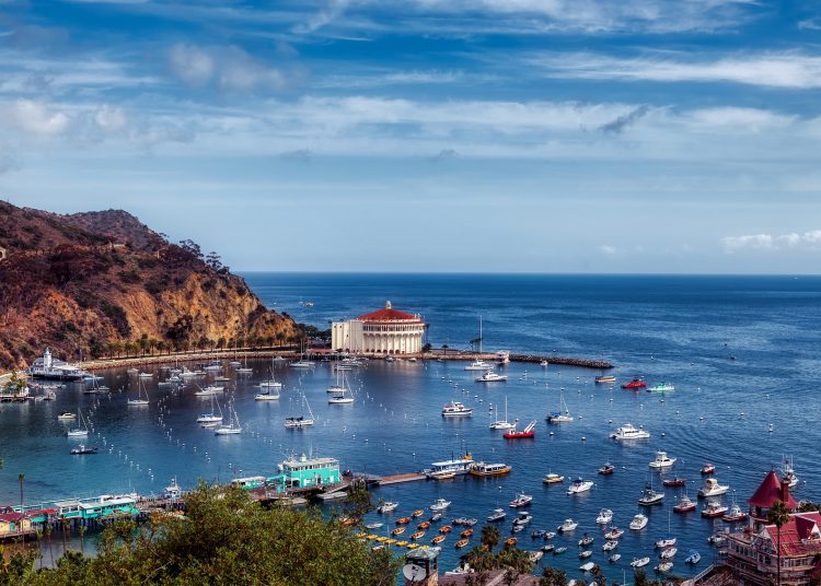 things to do in Catalina Island