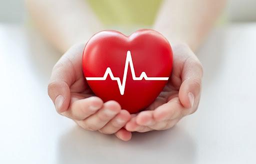 Kombucha Helps To Increase Heart Health